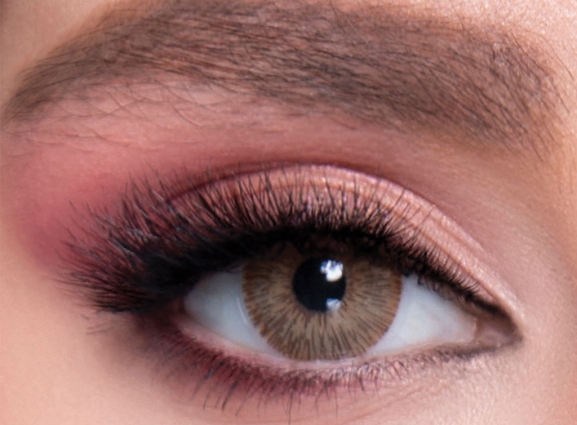 LABELLA LENSES EXCLUSIVE BROWN